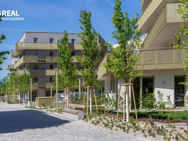 Wohnung kaufen in Donaustadt, Wien