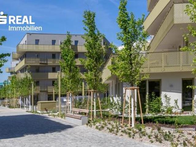 Immobilie kaufen in Wien