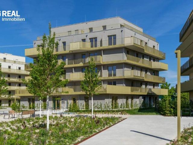 Wohnung kaufen in Donaustadt, Wien