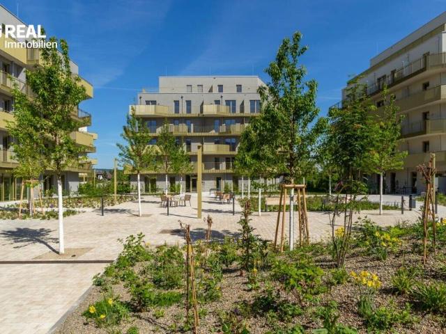 Wohnung kaufen in Donaustadt, Wien