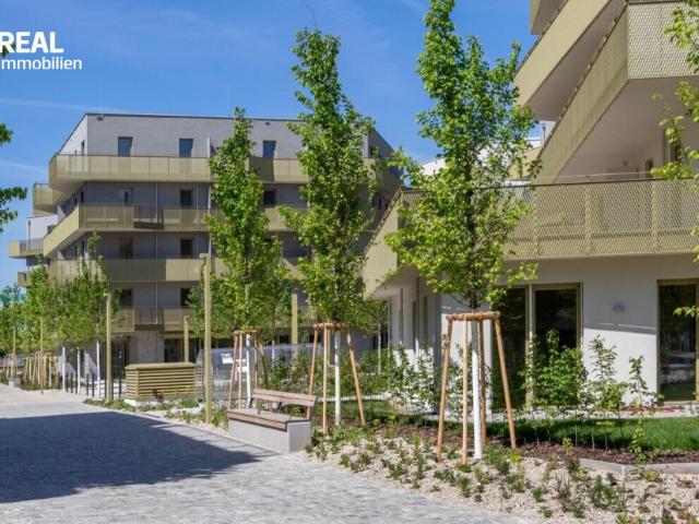 Immobilie kaufen in Donaustadt, Wien