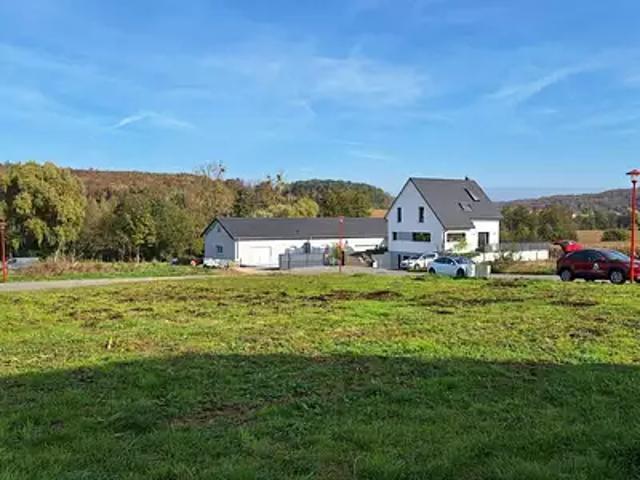 Terrain vente à Hirsingue, Collectivité européenne d'Alsace