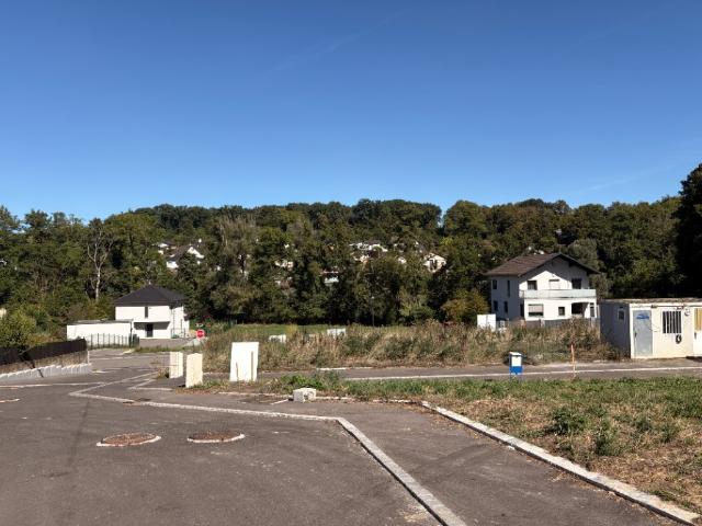 Terrain vente à Hirsingue, Collectivité européenne d'Alsace