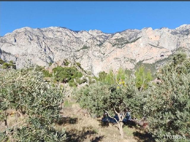 Konyaalti, Antalya içerisinde satılık Arsa
