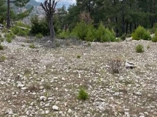 Konyaalti, Antalya içerisinde satılık Arsa