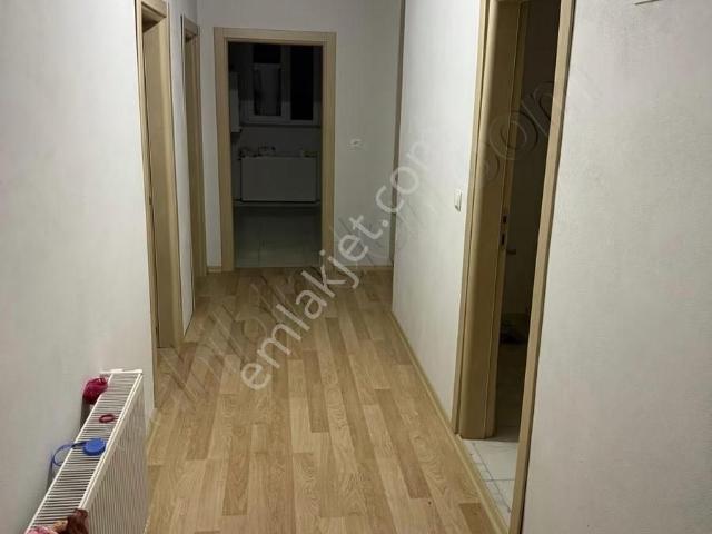 Terme, Samsun içerisinde kiralık mülk