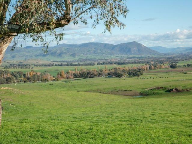 Property for sale in Welaregang, New South Wales