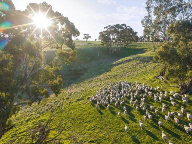 Land for sale in Yandoit Hills, Victoria