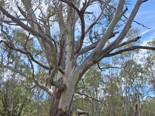 Land for sale in Redcastle, Shire of Campaspe