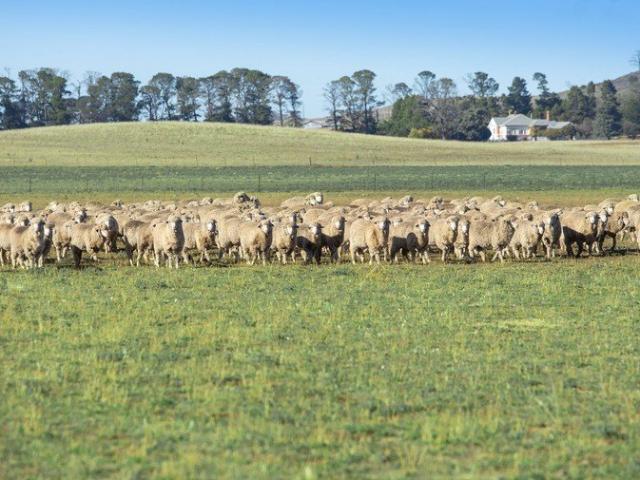 Cottage for sale in Bungarby, New South Wales