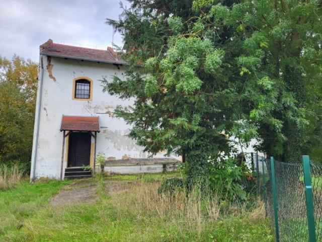 Einfamilienhaus kaufen