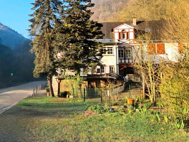Haus kaufen in Bad Bertrich, Rheinland-Pfalz