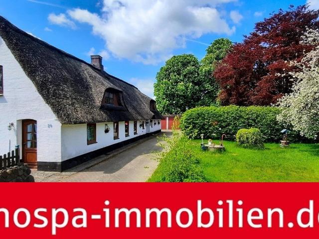 Haus kaufen in Treia, Schleswig-Holstein