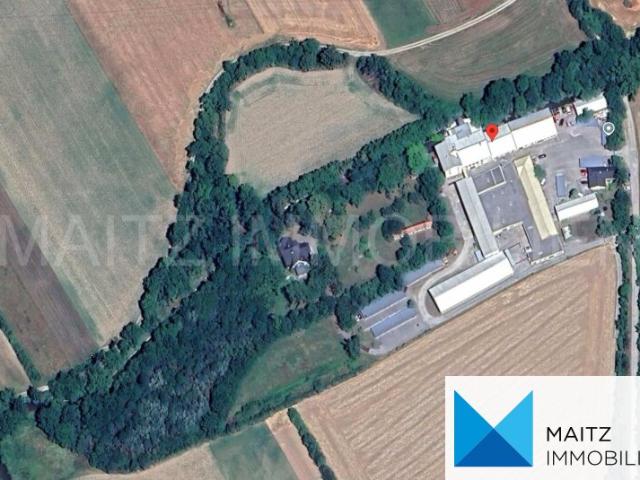 Einfamilienhaus kaufen in Schwarzau am Steinfelde, Niederösterreich