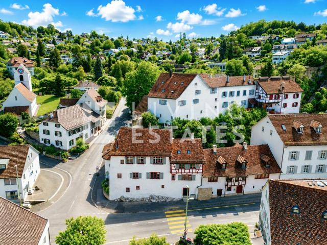 Immobilie kaufen in Münchenstein, Bezirk Arlesheim