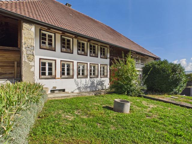 Haus kaufen in Beinwil am See, Aargau