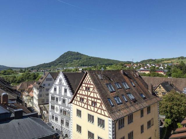 Wohnung kaufen in Anselfingen, Engen