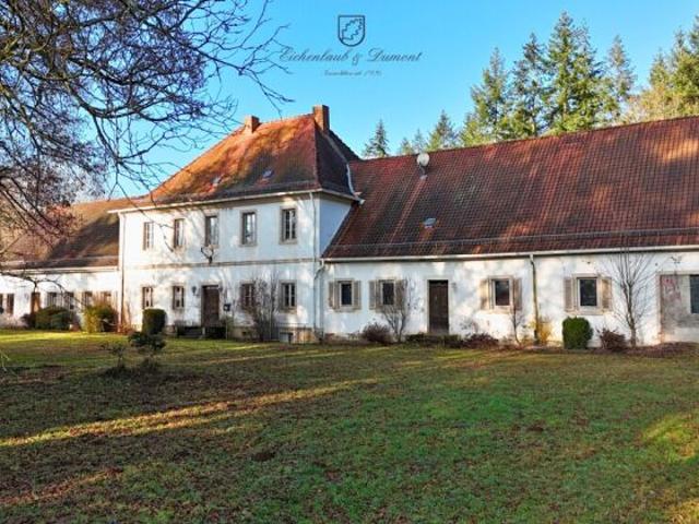 Haus kaufen in Nohfelden, Saarland