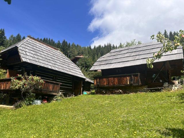 Haus kaufen in Hüttenberg, Kärnten
