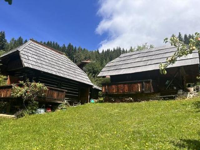 Haus kaufen in Hüttenberg, Kärnten