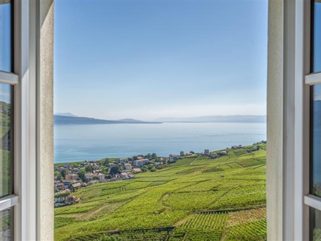 Wohnung kaufen in Bourg-en-Lavaux, Waadt
