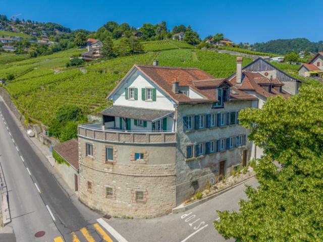 Wohnung kaufen in Bourg-en-Lavaux, Waadt