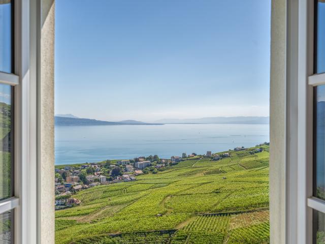 Haus kaufen in Cully, Bourg-en-Lavaux