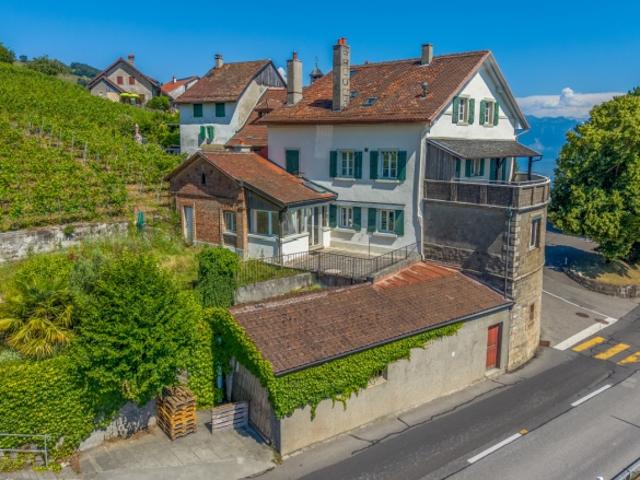 Einfamilienhaus kaufen in Bourg-en-Lavaux, Waadt