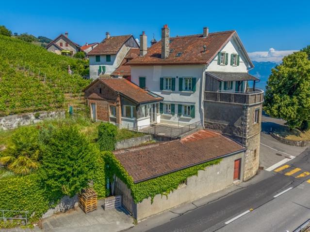 Einfamilienhaus kaufen in Bourg-en-Lavaux, Waadt