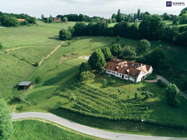 Haus kaufen in Hartberg