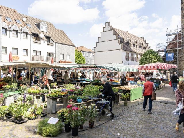 Mehrfamilienhaus kaufen in Wandhofen, Schwerte