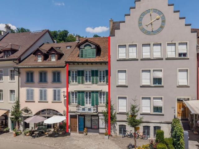 Haus kaufen in Brugg (AG), Aargau
