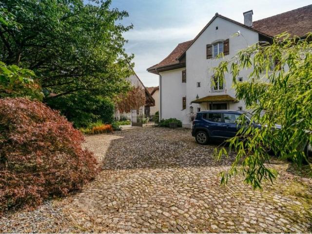 Immobilie kaufen in Eggenwil, Aargau