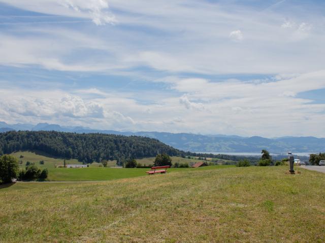 Haus kaufen in Laupen ZH, Wald (ZH)
