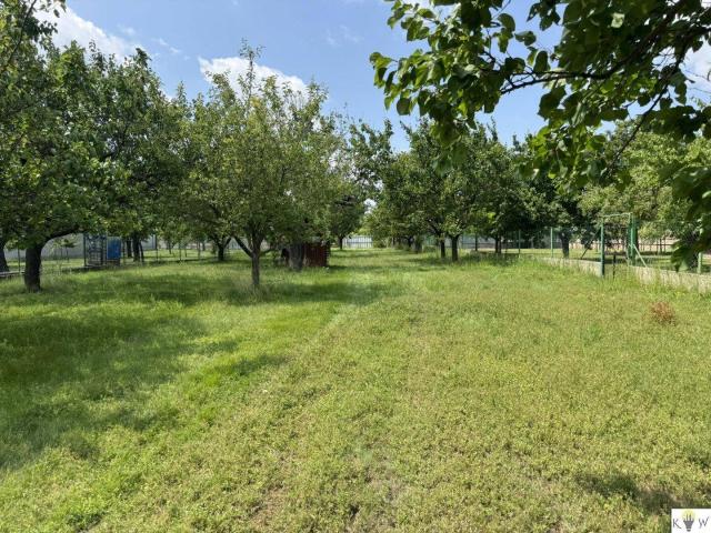 Haus kaufen in Kittsee, Burgenland