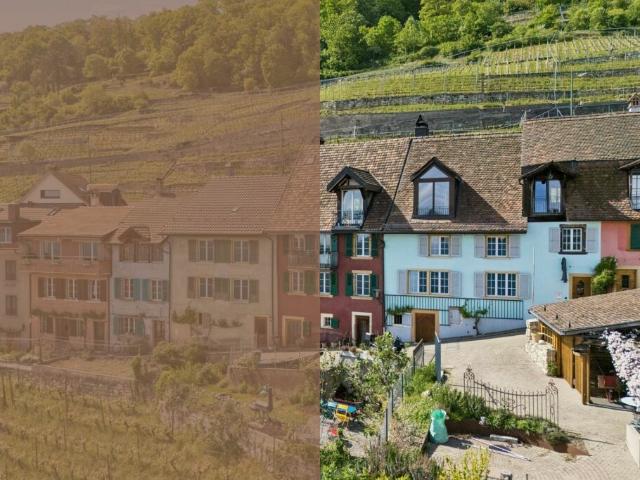 Reihenfamilienhaus kaufen in Twann-Tüscherz, Bern