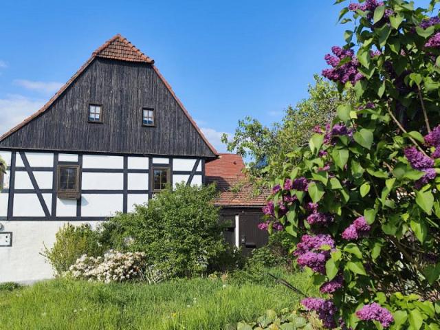 Haus kaufen in Dresden, Sachsen