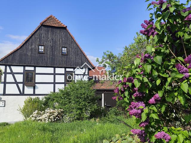 Haus kaufen in Dresden, Sachsen