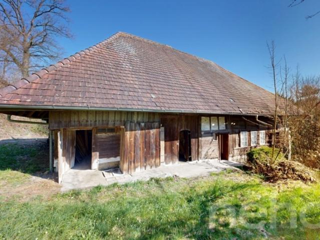 Bauernhaus kaufen in Villmergen, Aargau