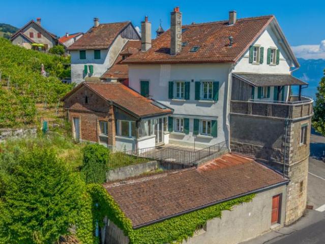 Haus kaufen in Bourg-en-Lavaux, Waadt