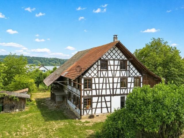 Haus kaufen in Rickenbach (ZH), Zürich