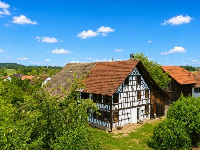 Einfamilienhaus kaufen in Rickenbach (ZH), Zürich