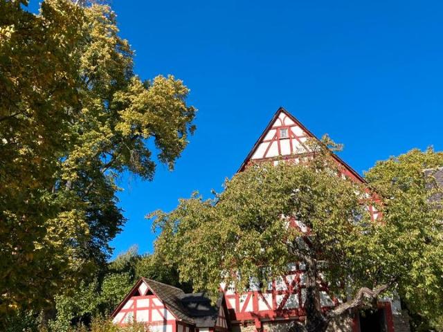 Haus kaufen in Singhofen, Rheinland-Pfalz