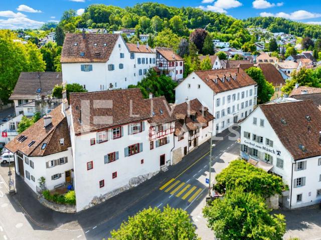 Immobilie kaufen in Münchenstein, Basel-Landschaft