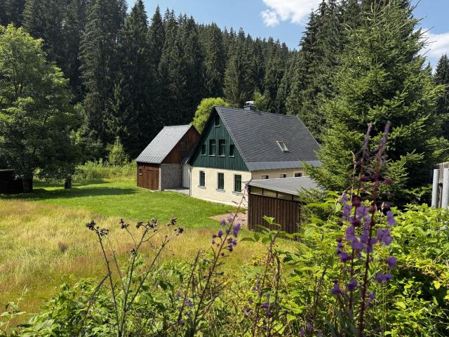 Villa kaufen in Eibenstock, Sachsen