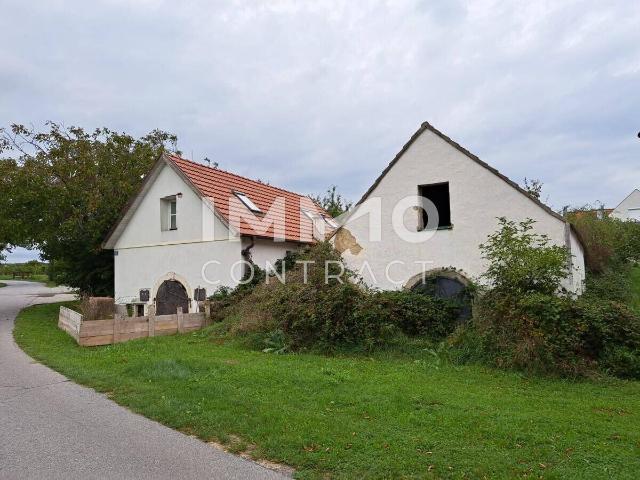 Haus kaufen in Breitenbrunn am Neusiedler See, Burgenland