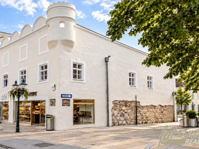 Gewerbe kaufen in Tulln an der Donau, Niederösterreich