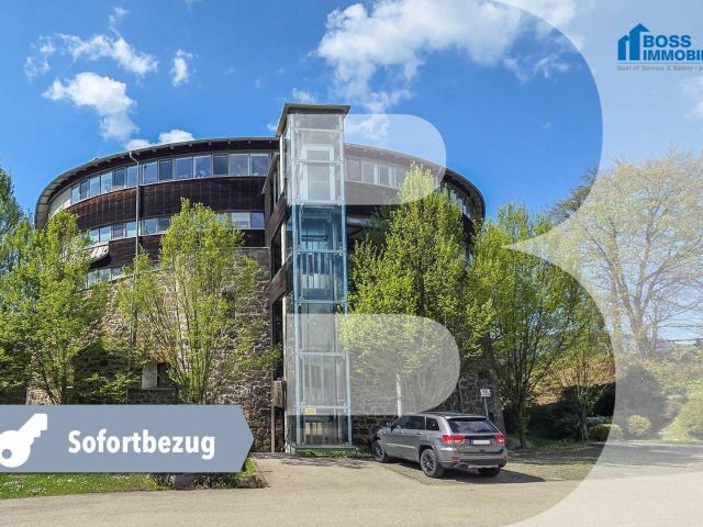 Apartment kaufen in Holzheim, Leonding