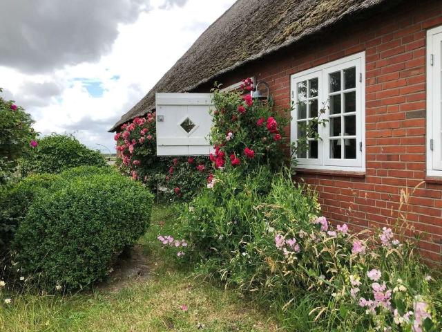 Haus kaufen in Dagebüll, Kreis Nordfriesland