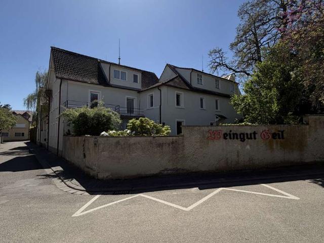 Erdgeschosswohnung kaufen in Eimsheim, Landkreis Mainz-Bingen